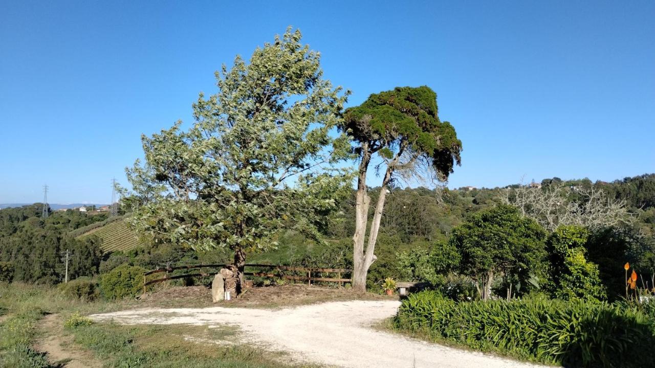 Agroturismo Quinta Do Oratorio